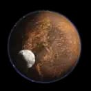 Swamp (brown)